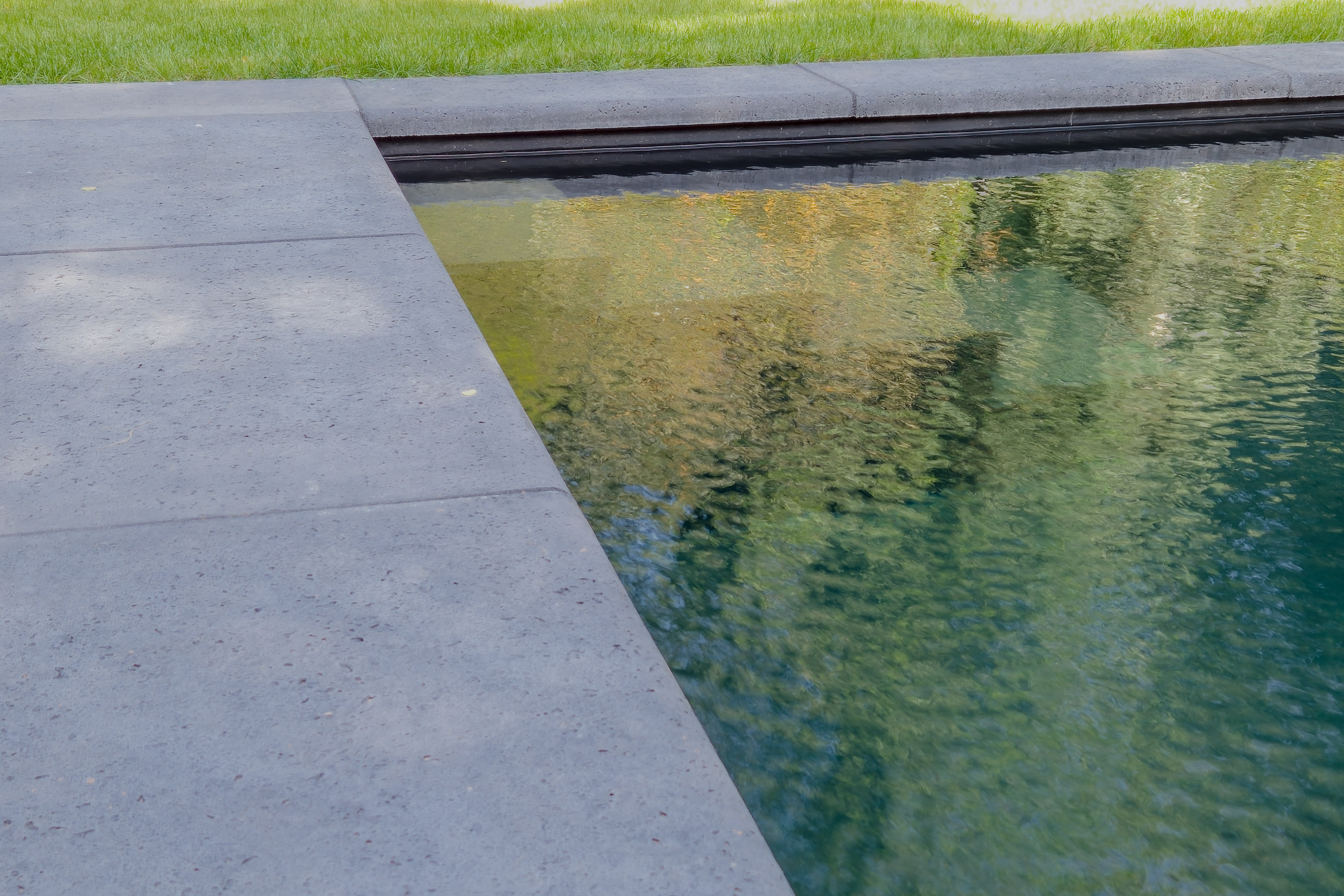 Zwemvijver strak en natuurlijk in één