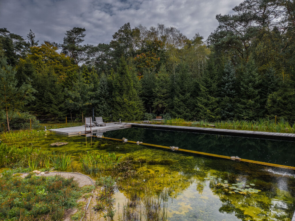 Een ‘ven’ in de heide als