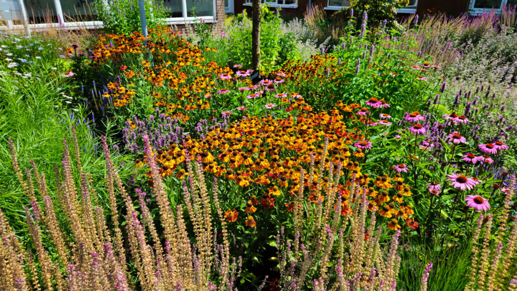 Bloemen-oase bij speciaal onderwijs