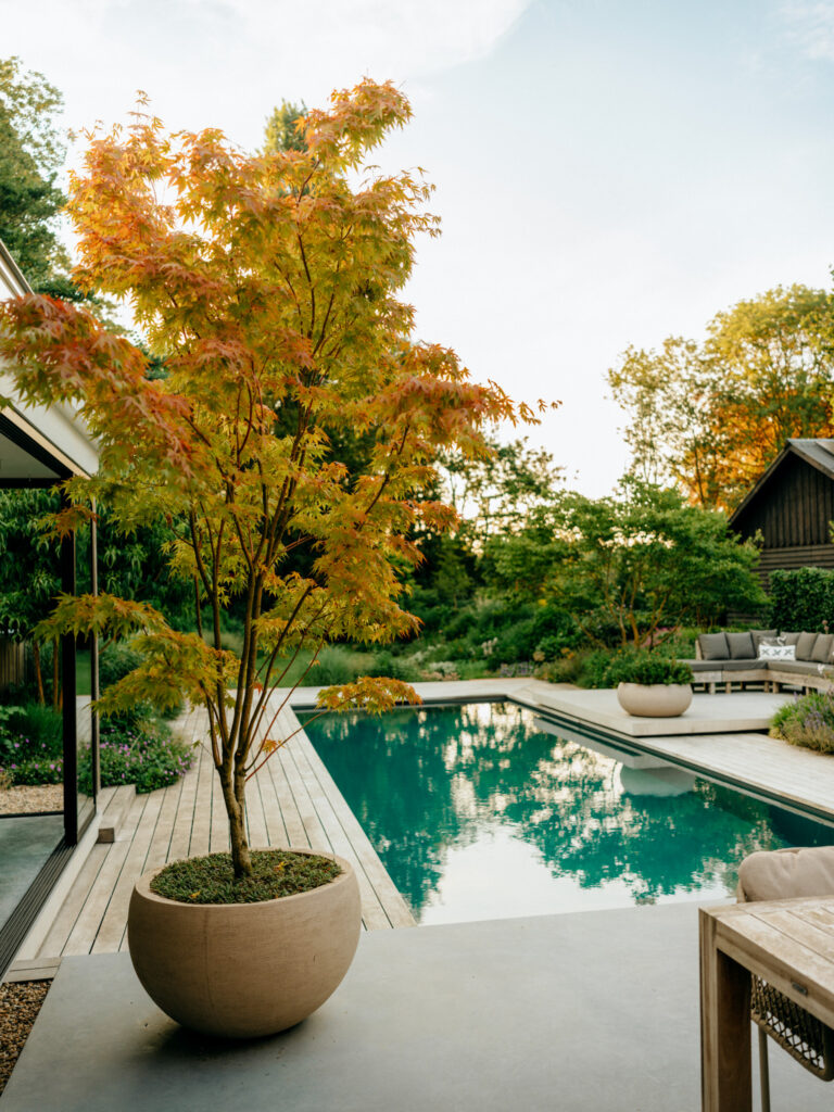 Moderne tuin met natuurlijke tinten
